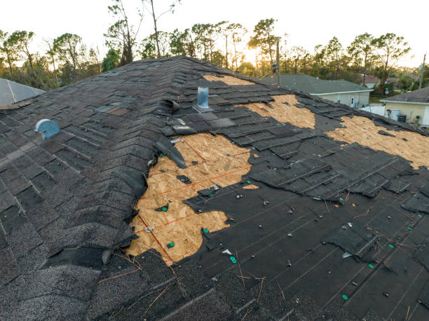 Best Roof Leak Repair  in Corte Madera, CA